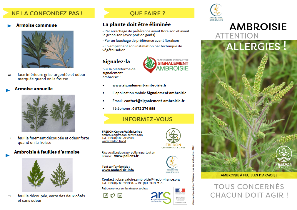 Flyer Ambroisie attention Allergies Centre 1