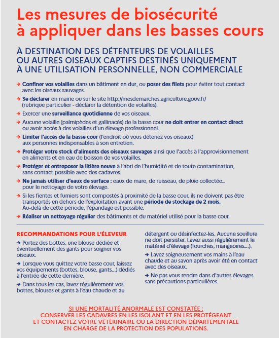 Flyer biosecurite basses cours Loiret.pdf