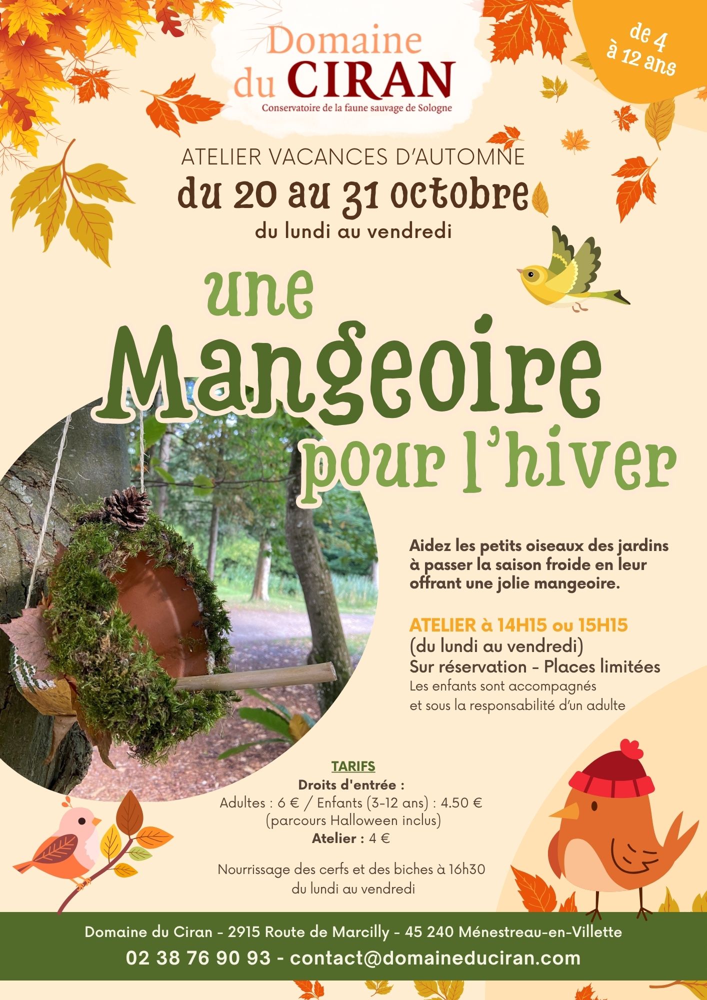 Mangeoire Ciran 10 25