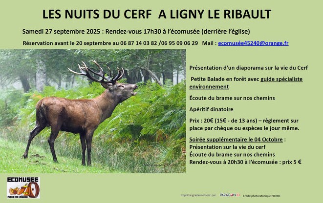 Nuit du cerf Ligny 27 09 25 