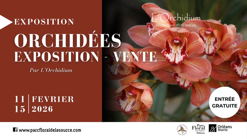 Expo orchidees orleans 14 02 26