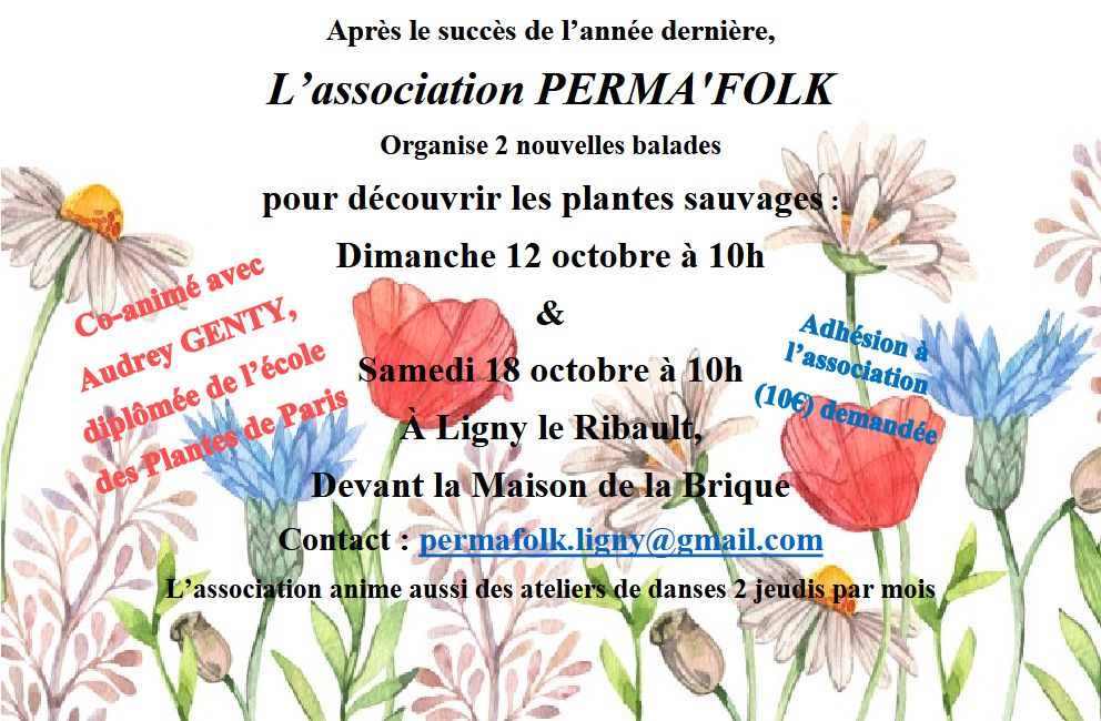 Decouvertes 09 2025