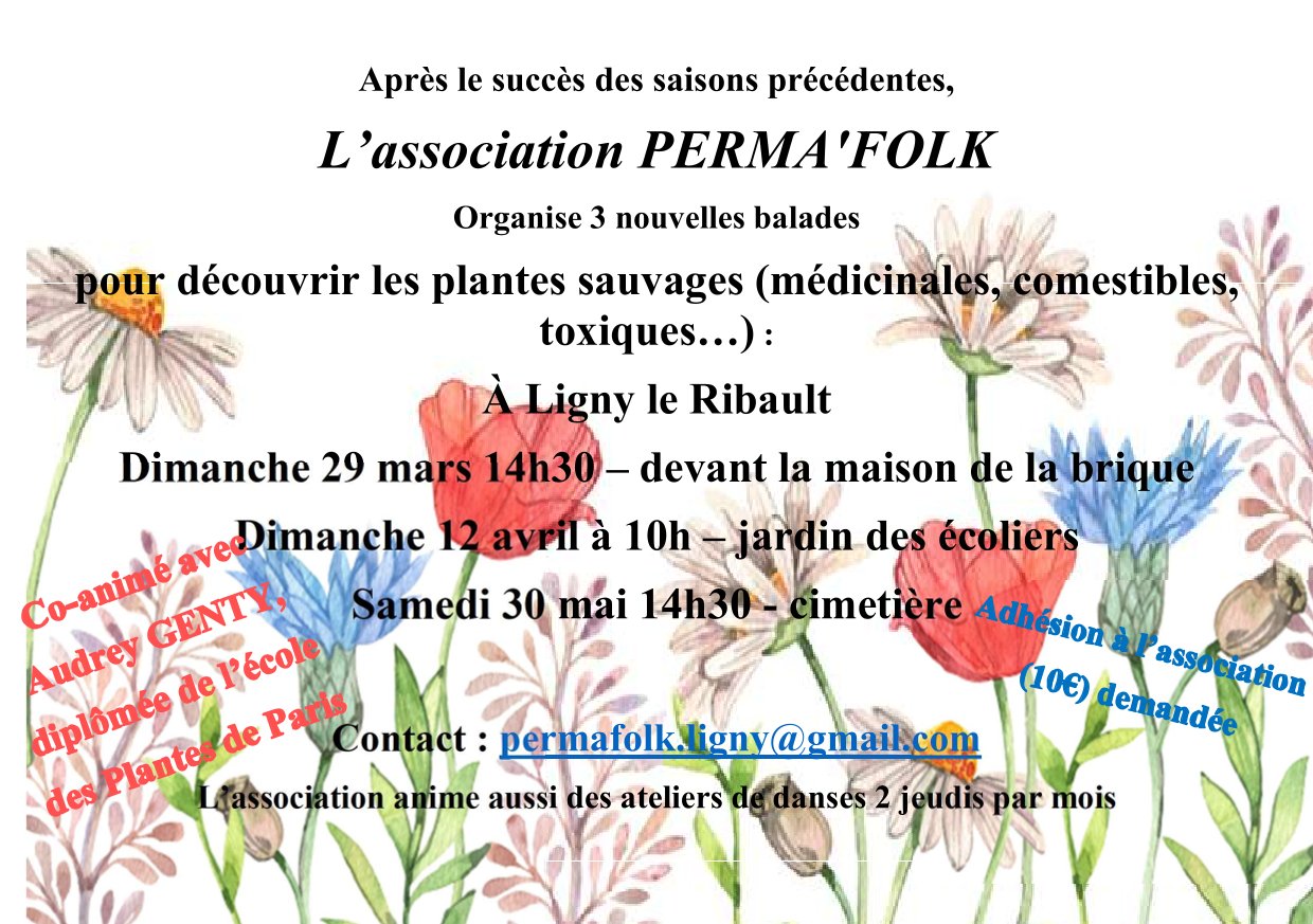 Perma Folk printemps 2026 1