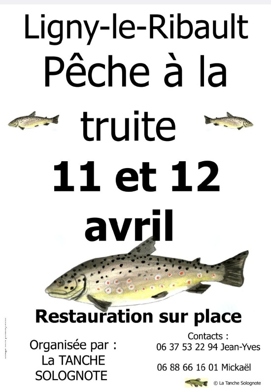 Peche truite Ligny 11 04 26