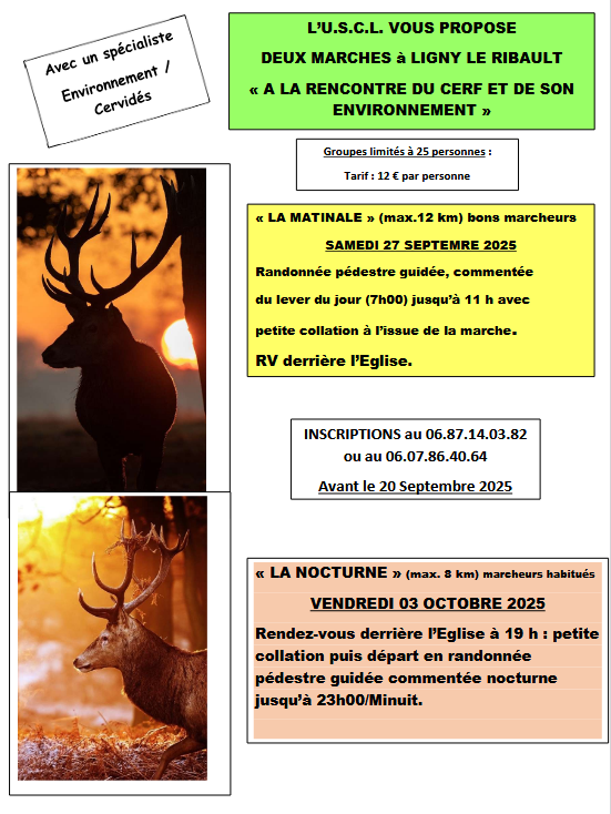 Marche du Cerf USCL 09 25