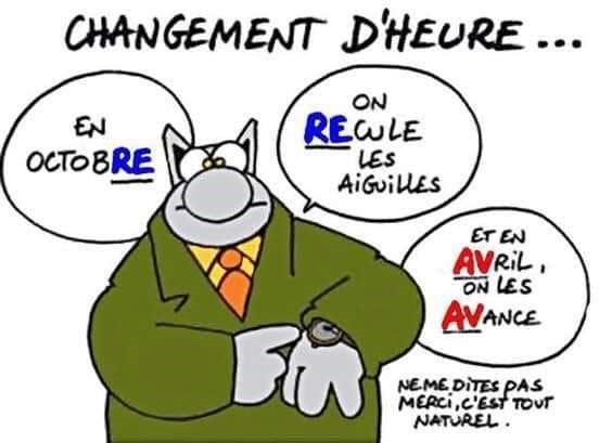 Chat gement heure 2020