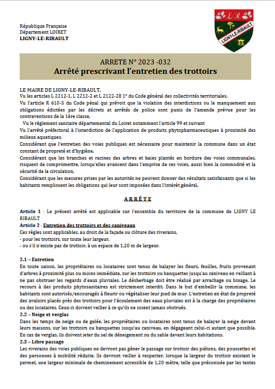 Entretien trottoirs P1