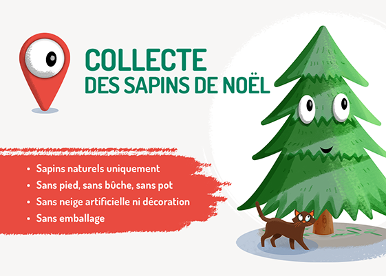 Recyclage sapins