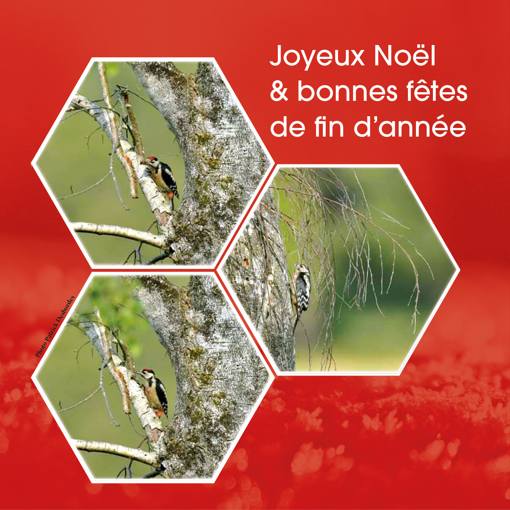 voeux noel ligny24