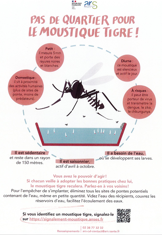 Lutte moustiques tigres 2024