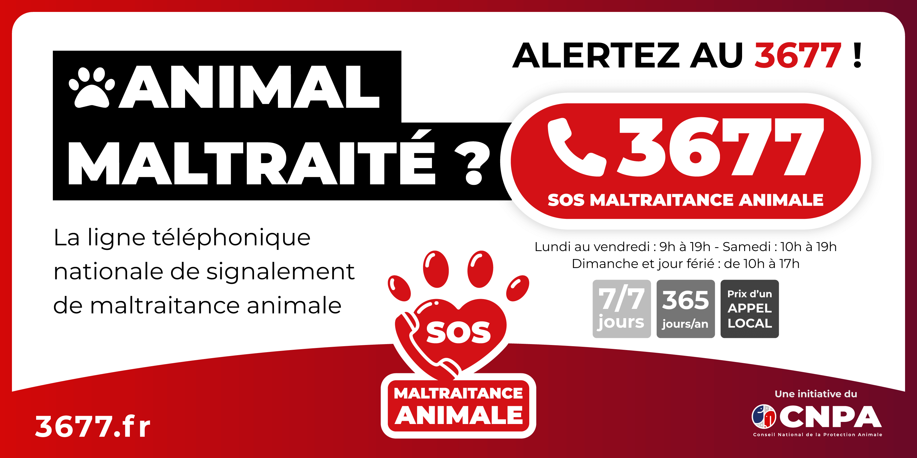 3677 SOS maltraitance animale vignette ligne telephonique