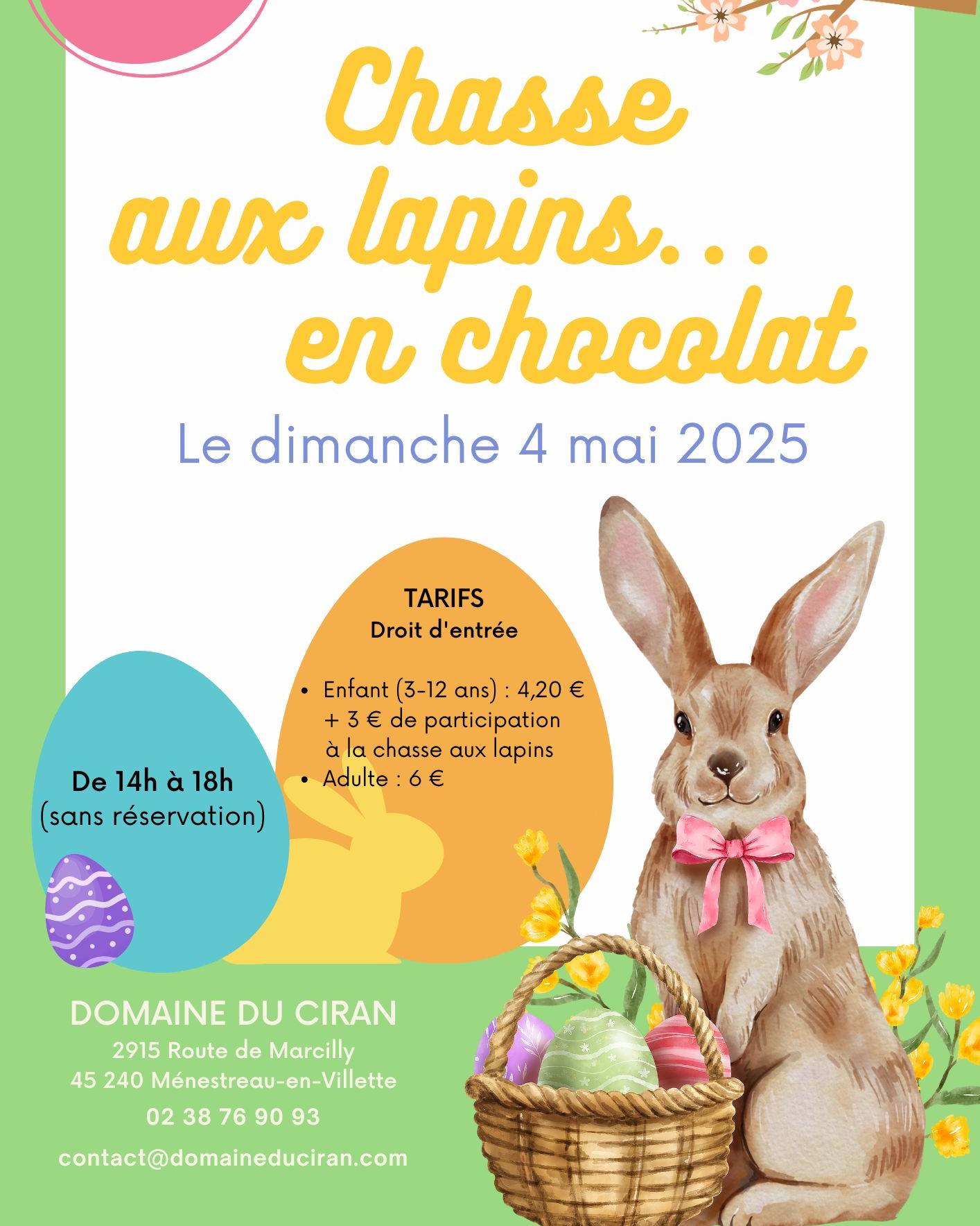 Chasse oeufs Ciran 04 05 25