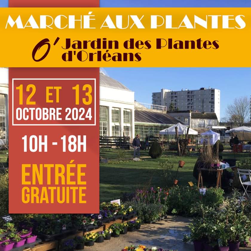 Marche aux plantes Orleans 12 10 24