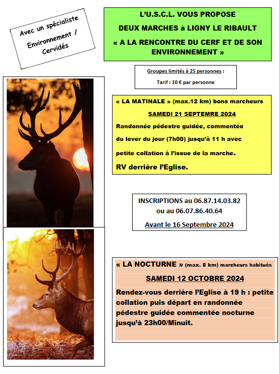 Marche du cerf 09 24